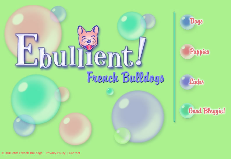 Ebullient French Bulldogs - No Flash 